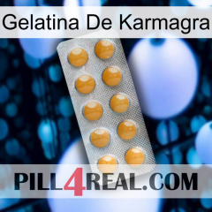 Karmagra Jelly levitra1